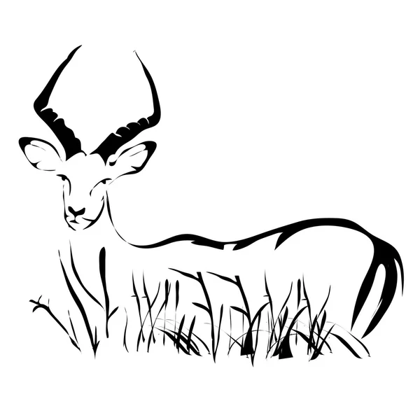 Overzicht antelope impala vector afbeelding. Kan worden gebruikt voor logo — Stockvector