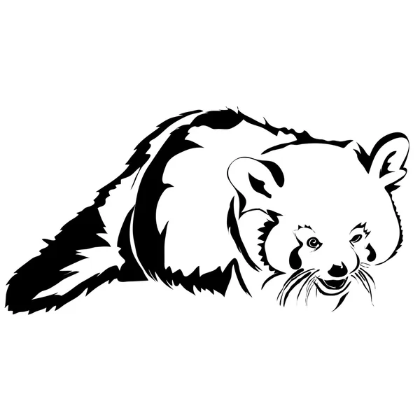 Desenho realista ilustração vetorial panda vermelha . — Vetor de Stock