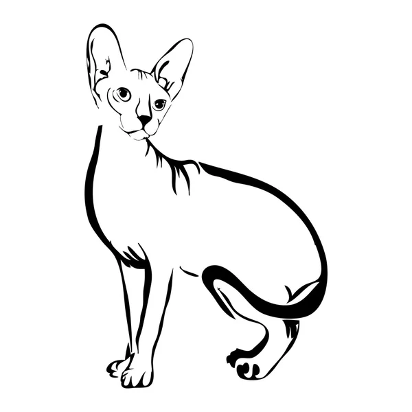 Skizzieren cat sphynx Vektor Illustration. kann für Logo verwendet werden und — Stockvektor