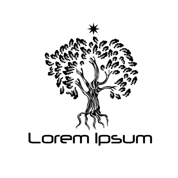 Anahat el çekilmiş meşe ağacı ve yıldız logo illüstrasyon vektör