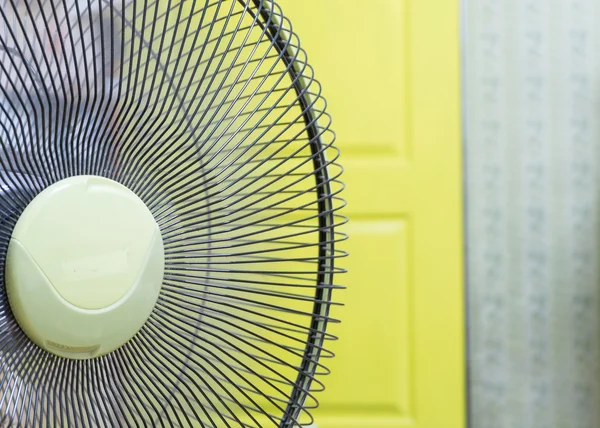 dönüyor fan portre