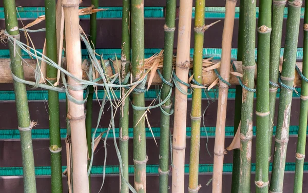 Bamboo sticks in a row as background