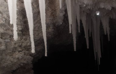 Rusya Doğa Rezervi, Arkhangelsk bölgesi Golubino.