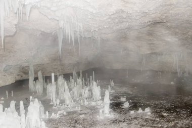 Rusya Doğa Rezervi, Arkhangelsk bölgesi Golubino.