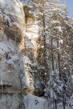 Rusya Doğa Rezervi, Arkhangelsk bölgesi Golubino.