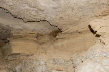 Rusya Doğa Rezervi, Arkhangelsk bölgesi Golubino.