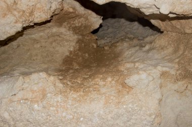 Rusya Doğa Rezervi, Arkhangelsk bölgesi Golubino.