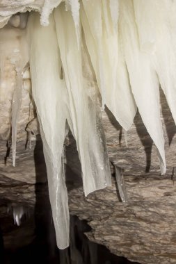 Rusya Doğa Rezervi, Arkhangelsk Bölgesi 