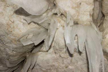 Rusya Doğa Rezervi, Arkhangelsk Bölgesi 