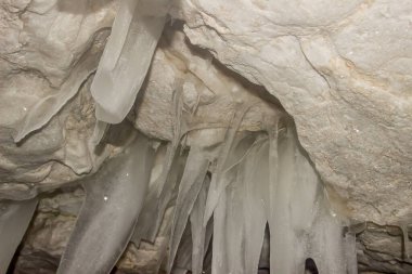 Rusya Doğa Rezervi, Arkhangelsk Bölgesi 