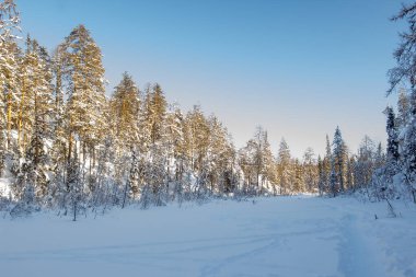 Rusya Doğa Rezervi, Arkhangelsk Bölgesi 