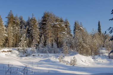 Rusya Doğa Rezervi, Arkhangelsk Bölgesi 