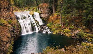McCloud Nehri Şelalesi, McCloud Ormanı, Kuzey Kaliforniya, ABD
