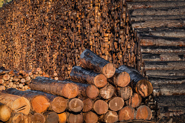 Deforestation through logging may be linked to California wildfires