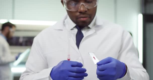 Κοντινό πορτραίτο του Αφροαμερικανού όμορφου πολυάσχολου αρσενικού επαγγελματία γιατρού εργαστηρίου που στέκεται στο εργαστήριο με γυαλιά και γάντια κάνοντας εξέταση αίματος σε γυαλί, έννοια ανάλυσης. Ιογενής ιατρική έρευνα — Αρχείο Βίντεο