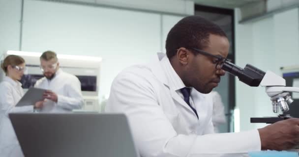 Portré afro-amerikai jóképű fiatal, komoly férfi genetika tudós klinika laborban tanulmányozza DNS mutációk mikroszkóppal és gépelés eredmények laptop böngészés a számítógépen. kutatási koncepció — Stock videók