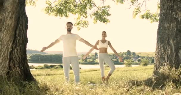Jeune couple caucasien de yogis debout à la nature le matin et faisant des arbres asanas. Homme et femme respirant, relaxant et faisant du yoga en plein air. Journée de départ sportive masculine et féminine. Formateur avec fille. — Video