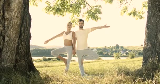 Casal juntos em asana. Mulher bonita e homem bonito fazendo ioga juntos e de pé em árvore de apoio mútuo posar no campo. Branco, masculino e feminino, começando o dia com treinamento físico. — Vídeo de Stock