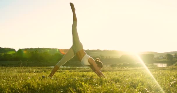 Blanke jonge sportieve slanke vrouw doet yoga en stretching up op groen gras buiten in de zomer. Vrouwelijke yogi doen neerwaartse hond poseren in prachtig veld. Naar beneden gerichte hond Asana met opgestegen been. — Stockvideo