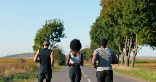 Trasera en mestizos jóvenes machos y joggers hembras corriendo en la carretera del campo en verano. Afroamericana delgada mujer deportiva y hombres multiétnicos corriendo al aire libre. Corredores entrenando juntos. Vista trasera — Vídeos de Stock