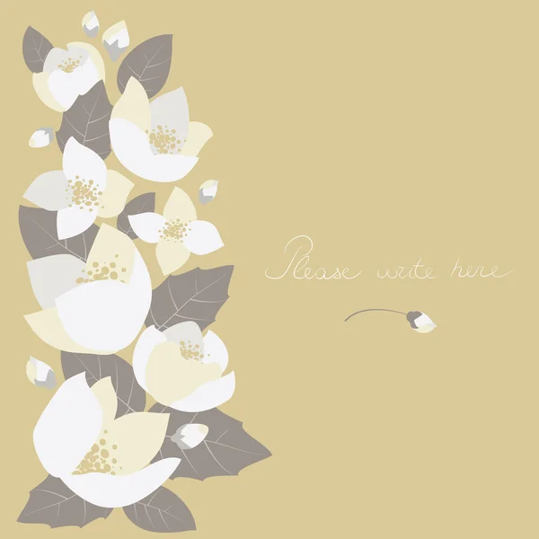 Cartão de saudação com flores de jasmim — Vetor de Stock
