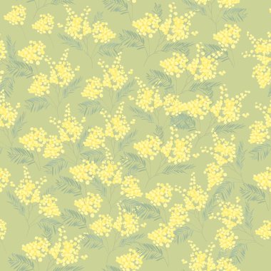 Yeşil Arkaplanda Bahar Mimosa ile Kusursuz Desen