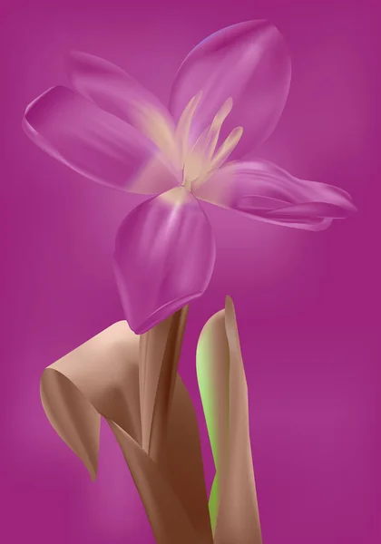 Púrpura Flores Violetas Que Florecen Sobre Fondo Violeta Púrpura Ilustración — Vector de stock