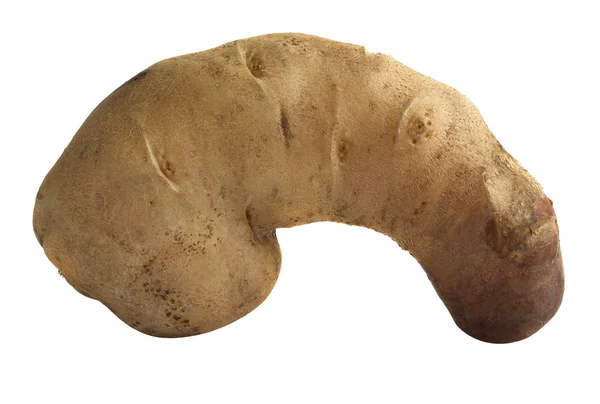 bir üye olarak izole patates