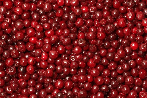 Tło z czerwonych dojrzałych wiśni — Zdjęcie stockowe