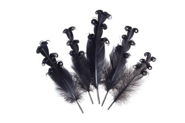 Beyaz bir arka plan üzerinde siyah kalem