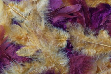 arka plan renkli parlak tüyler