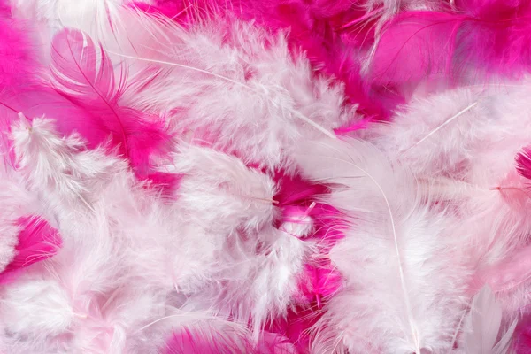 arka plan renkli parlak tüyler