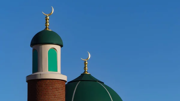 Bulutsuz mavi gökyüzü arkaplanlı izole yeşil kubbeler. Güneş ışığı dokular ve gölgeler verir. Kopya için alanı olan manzara resmi. İngiltere.