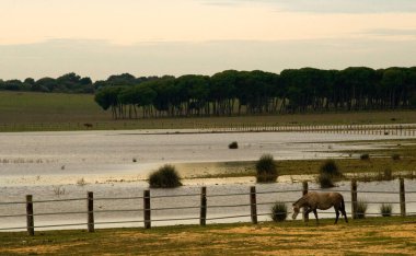 Güney İspanya 'nın batısında günbatımı