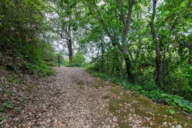 Mantar meşe mantarlarının fotoğrafını çeken fotoğrafçı Endülüs 'te şarap şişelerinin en iyi mantarı oradan gelir.