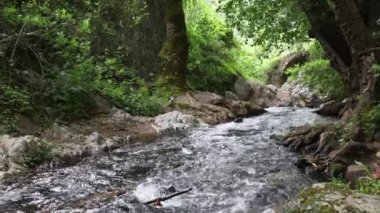 Huelva eyaletinin kuzeyindeki akarsuların sesi..