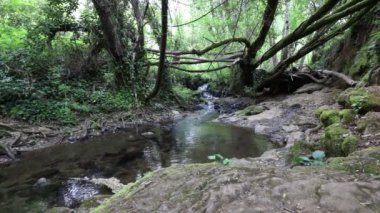 Huelva eyaletinin kuzeyindeki akarsuların sesi..
