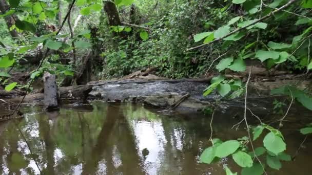 Звук Воды Ручьях Северной Провинции Уэльва — стоковое видео