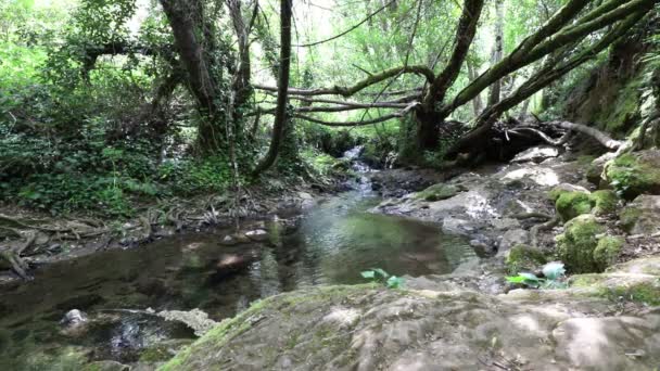 Wasserrauschen Den Bächen Norden Der Provinz Huelva — Stockvideo