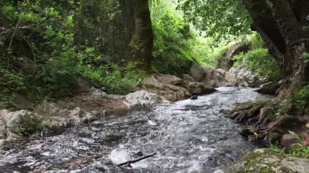 Sonido Agua Los Arroyos Del Norte Provincia Huelva — Vídeo de stock