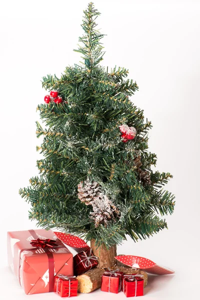 Weihnachtsbaum mit Geschenk — Stockfoto