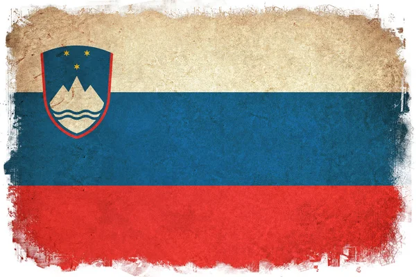 Slovinsko grunge vlajky ilustrace evropské země — Stock fotografie