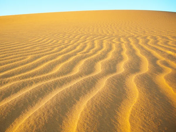 Sanddünen in der Wüste — Stockfoto