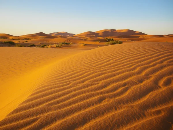 Sanddünen in der Wüste — Stockfoto