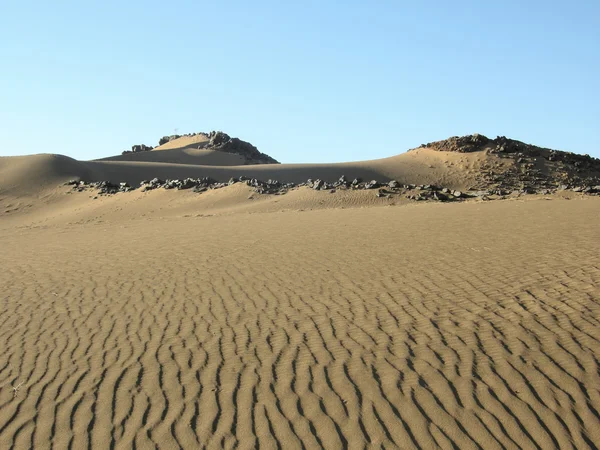 Sanddyner i öknen — Stockfoto