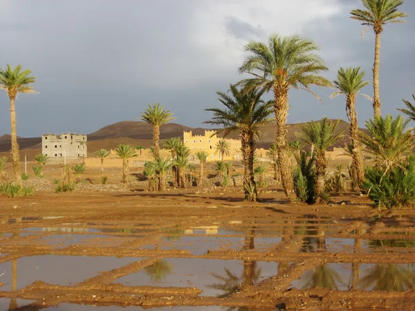 Dom na pustyni z deszczu — Zdjęcie stockowe