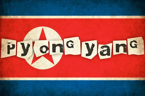 Noord-Korea grunge vlag illustratie van Aziatische land met tekst — Stockfoto