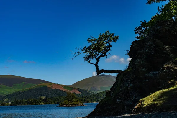 Una Vista Árbol Otterbield Bay Derwentwater Distrito Los Lagos Inglés —  Fotos de Stock