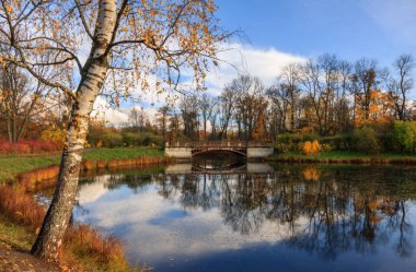 Altın sonbahar sırasında Alexander Parkı, Puşkin şehri, Saint-Petersburg, Rusya, portakal yaprakları, tarihi köprü