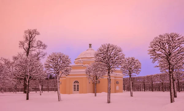 Unteres Bad Katharinenpark Puschkin Stadt Sankt Petersburg Russland Verschneiter Winter — Stockfoto